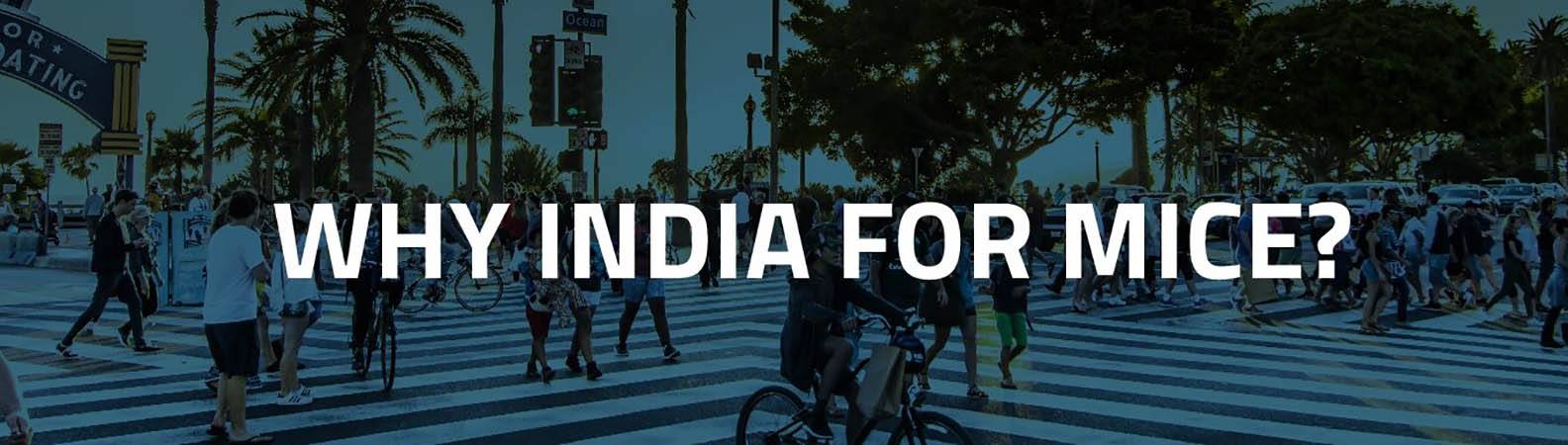 miceindia_photo
